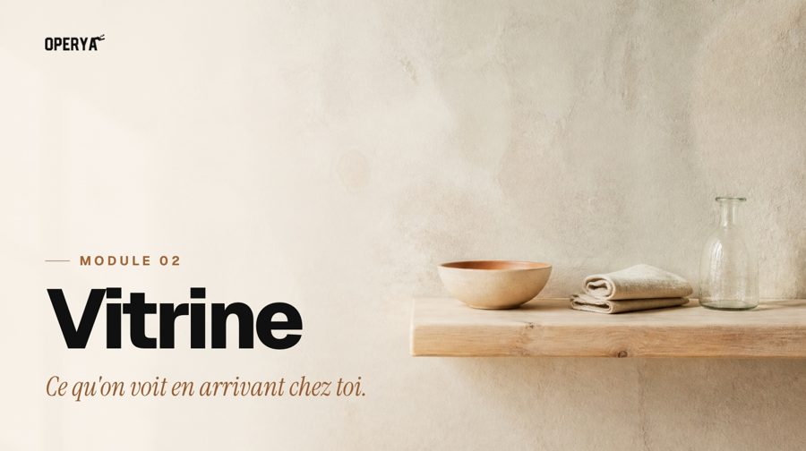 Module 02, Vitrine